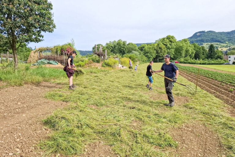 Menschen verteilen mit Rechen frisch gemähtes Gras auf einem Feld, im Hintergrund Hügel und Bäume.