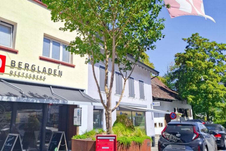Ein junger Baum in einem runden Metallpflanzgefäss steht auf einer Strasse vor Ladengeschäften, im Hintergrund eine Flagge und parkierte Autos.