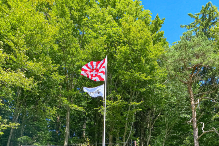 Ein Bunker mit gemaltem Baum, davor Büsche, im Hintergrund Bäume und eine Flagge an einem Mast.