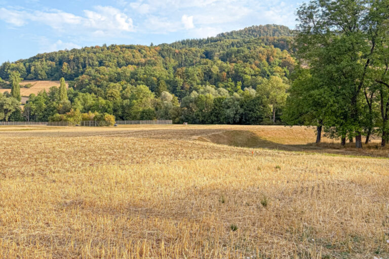 Ein abgeerntetes Getreidefeld vor bewaldeten Hügeln unter leicht bewölktem Himmel.