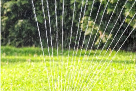 Das Bewässern von Rasenflächen ist zu unterlassen: Noch ist dies in den meisten Dörfern nur eine Bitte.
