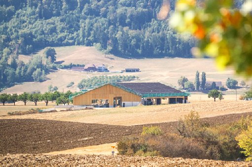 Der neue Stall der Familie Zumbrunn ist topmodern – er verfügt über einen Regentank, eine Biogasanlage und Solarpanels auf dem Dach.