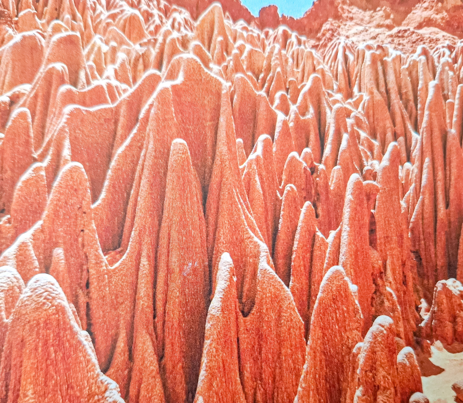 Zahlreiche spitze, rötlich-orange Steinformationen ragen dicht an dicht aus dem Boden.