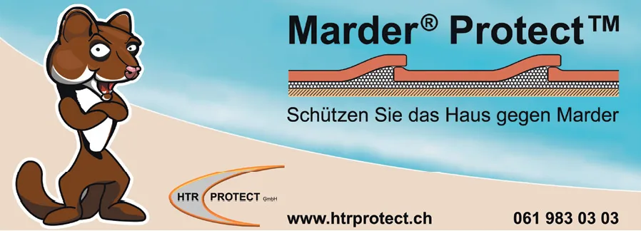 Ein gezeichneter Marder steht neben einer Skizze eines Dachschutzsystems gegen Marder.