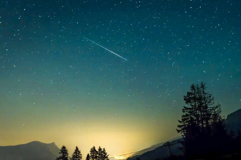 Ein heller Streifen einer Sternschnuppe zieht über einen sternenklaren Nachthimmel, darunter Berge und Tannensilhouetten.