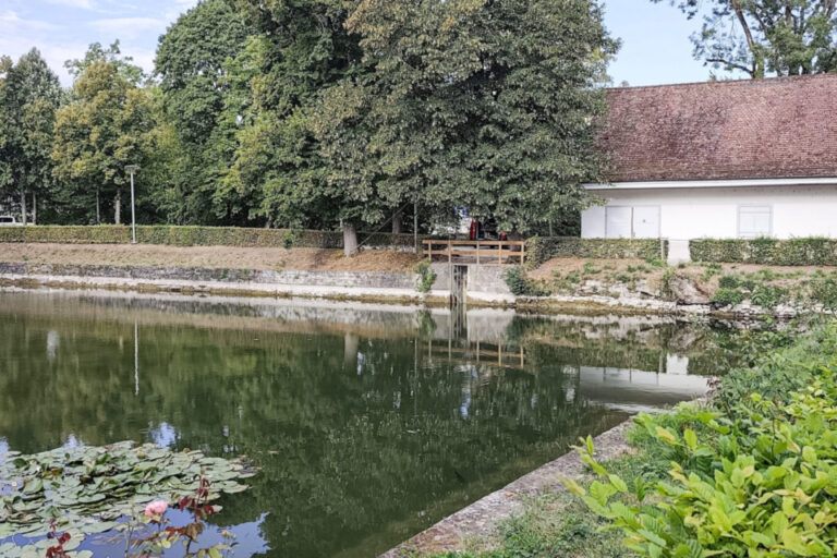 Ein ruhiger Weiher mit Seerosen, umgeben von Bäumen, Sträuchern und einem alten Gebäude mit Ziegeldach.