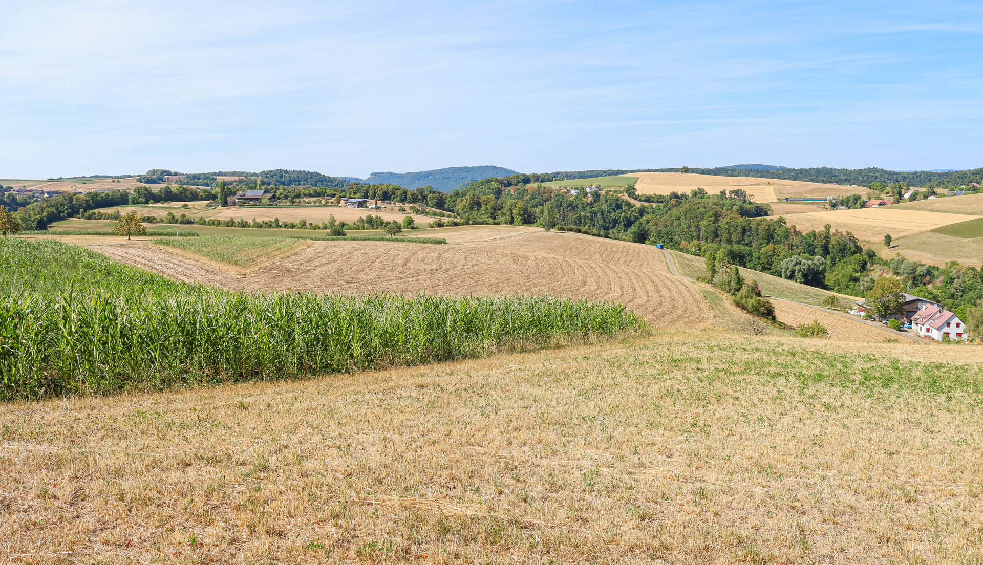 Hügelige Landschaft mit Feldern in unterschiedlichen Grüntönen, Wäldern und einem einzelnen Haus am Horizont.