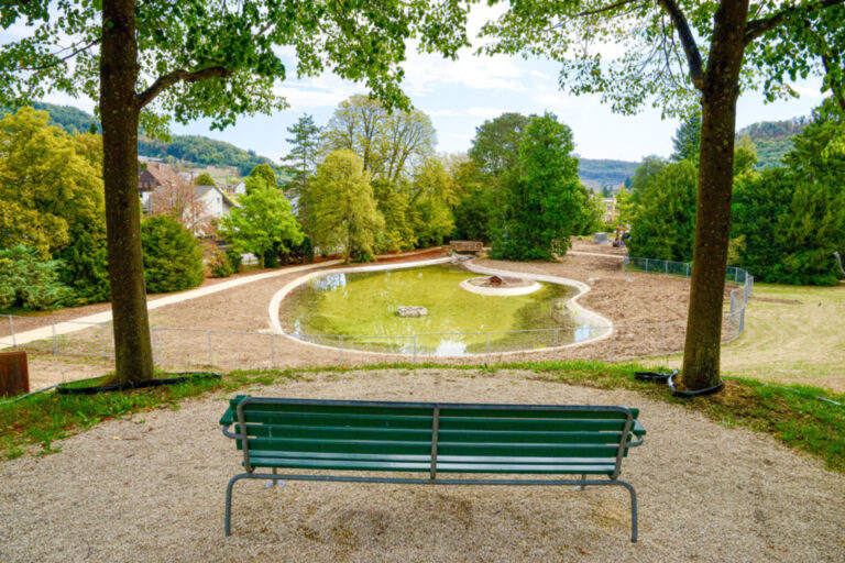 Grüne Parkbank vor einem kleinen Teich in einer Grünanlage mit Bäumen und Häusern im Hintergrund.