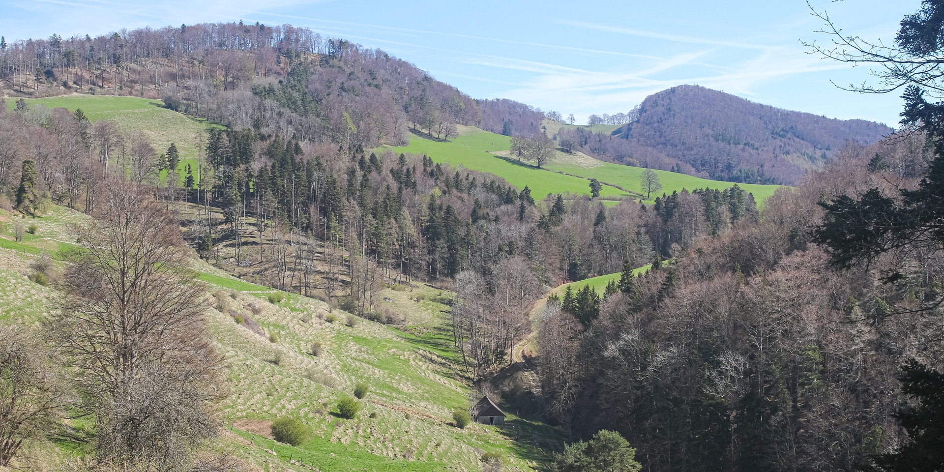 Hügelige Landschaft mit Wäldern und grünen Wiesen unter blauem Himmel.